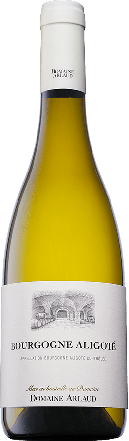 Bouteille - Bourgogne Aligoté